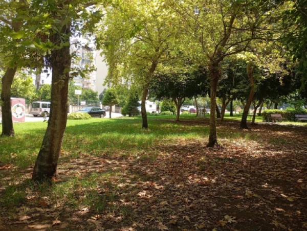 place